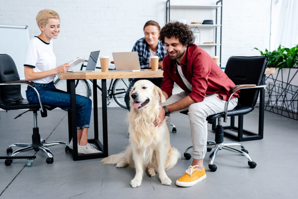 3 Mitarbeiter mit Bürohund